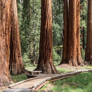 Meet your Posher, Edgar